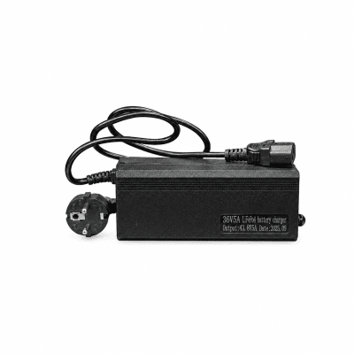 36V 5A LiFePO4 Battery Charger &ndash; 43.8V Output, AC 100&ndash;240V Input